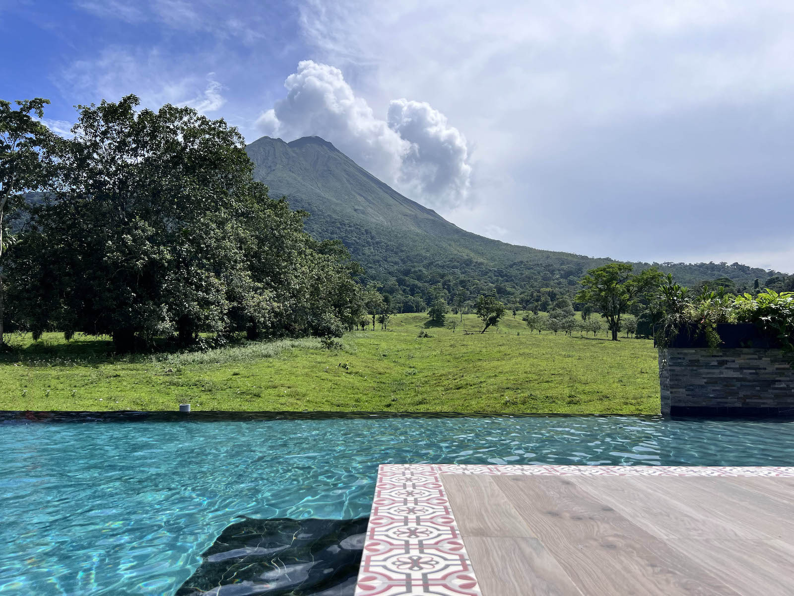 cedro_vista_1