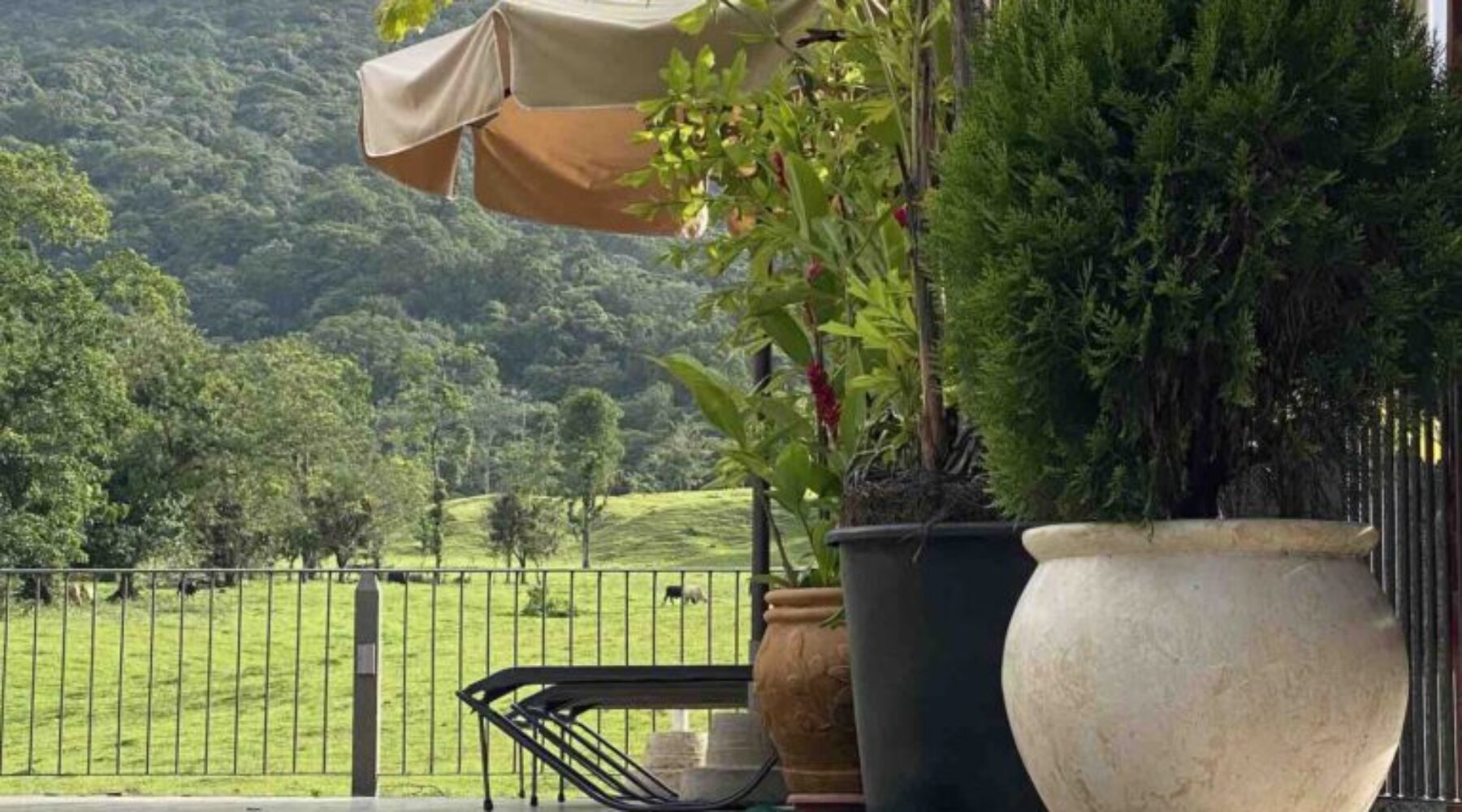 coctel y vista_