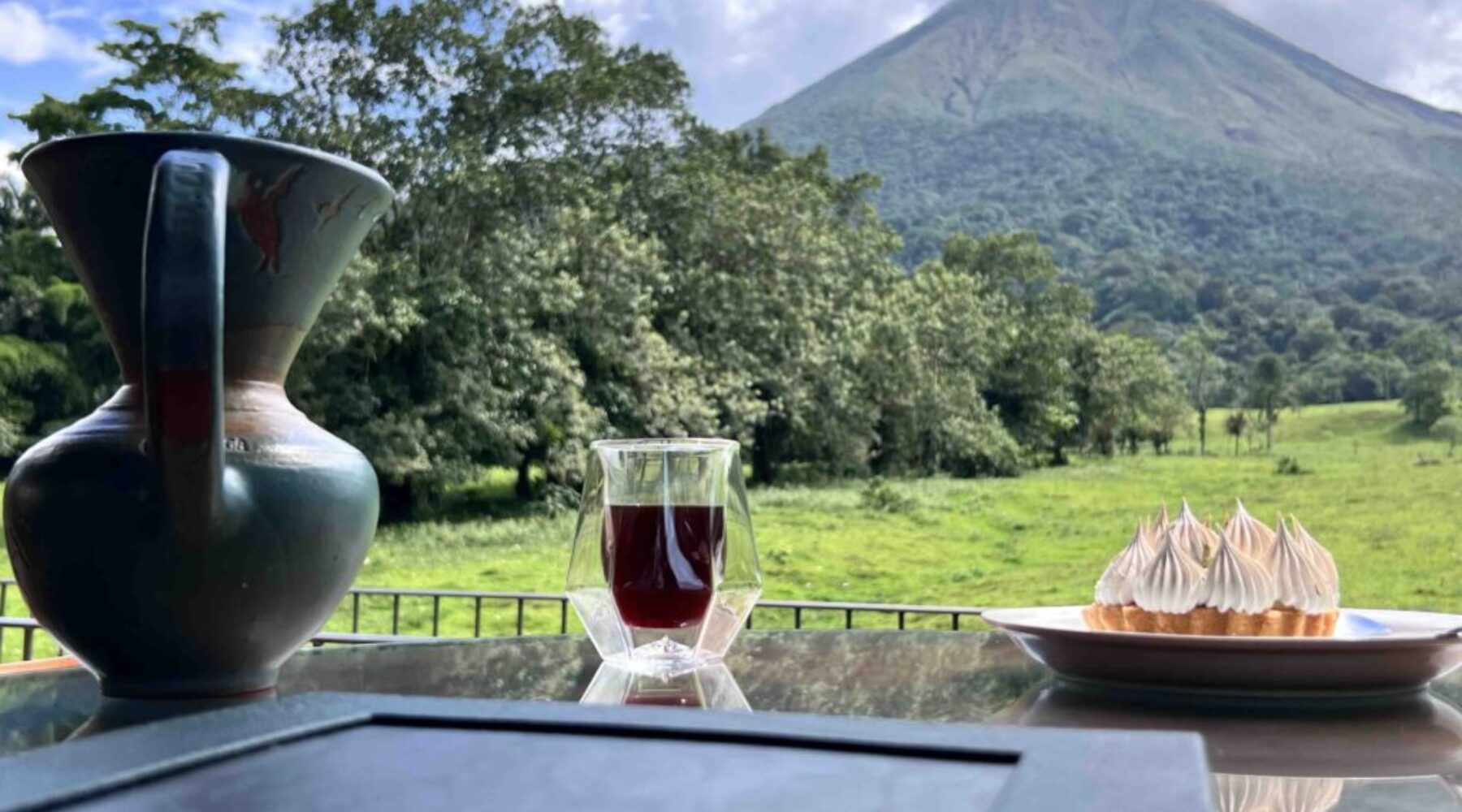 ficus_coffee